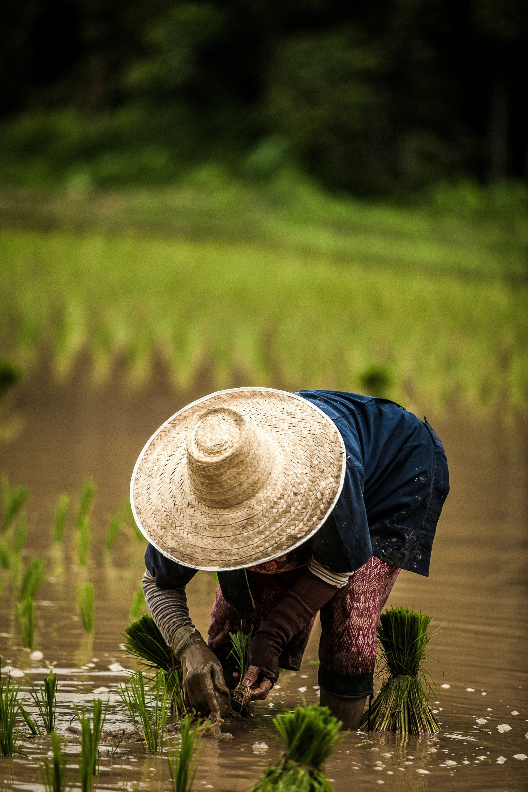 Agriculture & Farming